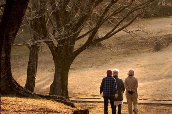 Tableau de vitesse de marche : lente, normale, rapide, selon le profil