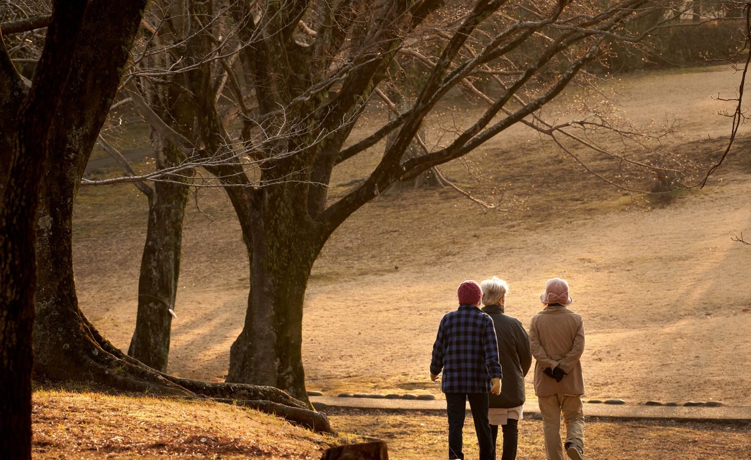 Tableau de vitesse de marche : lente, normale, rapide, selon le profil